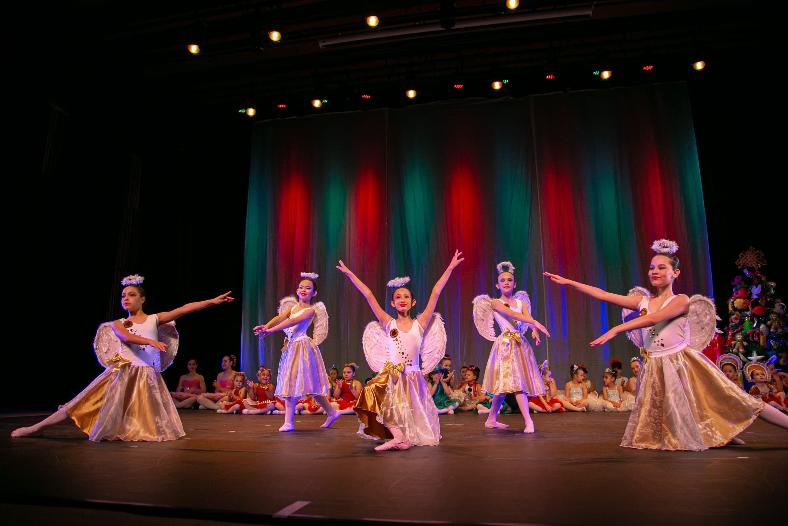 Ballet da infância a vida adulta